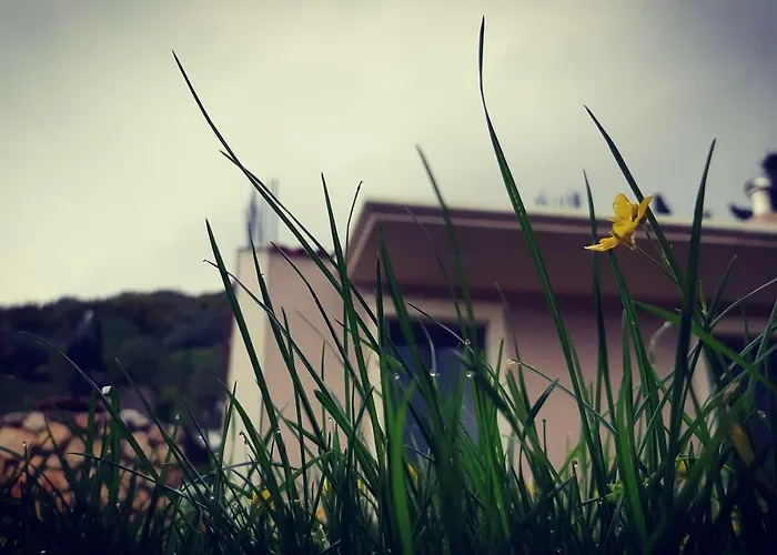 La Casa Di Athena *